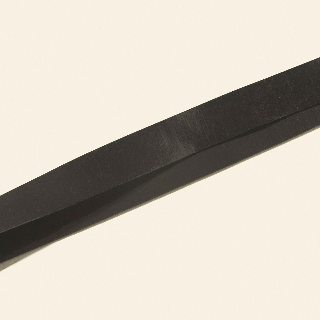 Calm Palm- Black- 10ct.